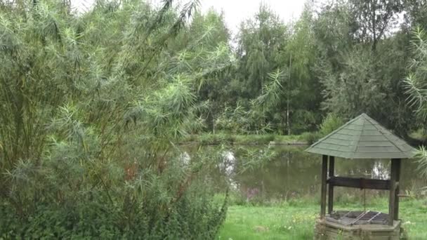Alter Brunnen Teich Teich Garten Zweige Von Weiden Der Nähe — Stockvideo