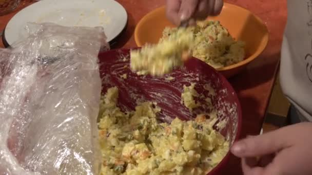 Salade Traditionnelle Aux Légumes Cuits Avec Mayonnaise — Video