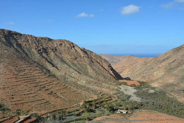 Bitkiler Sönmüş Yanardağ Fuerteventura Adası Kanarya Adaları Spanya Için Yolda — Stok fotoğraf