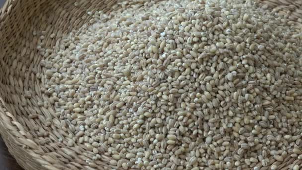 Vista Una Canasta Llena Granos Trigo Granos Trigo Trigo Cereales — Vídeo de stock
