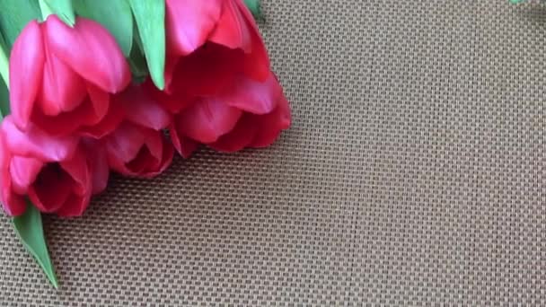 Magnifiques Tulipes Rouges Ressort Sur Table Fleurs Fraîches — Video