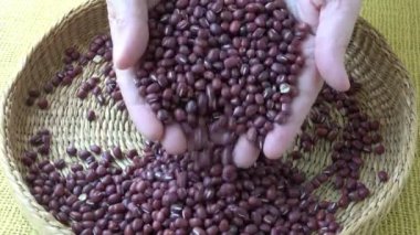 Taze adzuki fasulye. Sepette kırmızı fasulye (Vigna angularis)