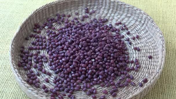 Fresh Adzuki Beans Red Beans Basket Vigna Angularis — Stock Video