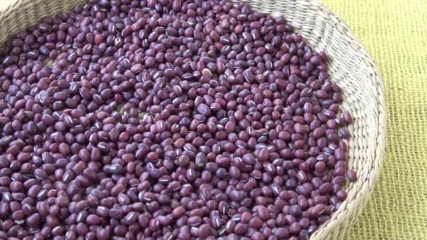 Fresh Adzuki Beans Red Beans Basket Vigna Angularis — Stock Video