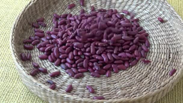 篮子里的红色长豆种子 — 图库视频影像
