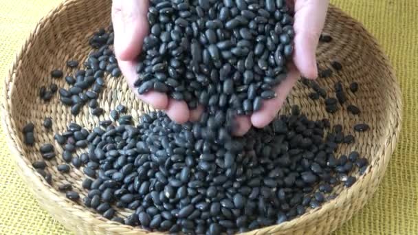 Black Beans Basket Frijoles Negros — Stock Video