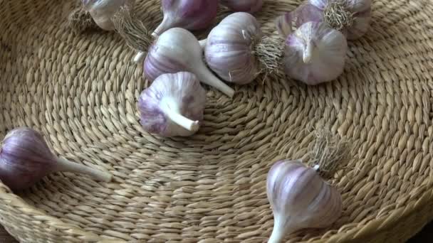 Fresh Garlic Small Basket — Stock Video