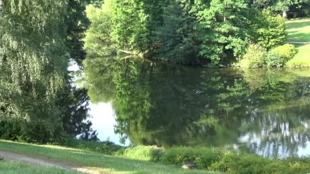 Paesaggio Solare Giornata Estiva Sul Lago Lago Nel Parco — Video Stock