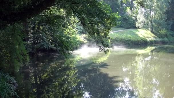 Zonnelandschap Zomer Dag Het Meer Het Meer Het Park — Stockvideo