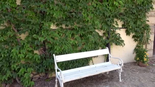 Vue Mur Avec Fenêtres Fleurs Bancs Dans Cour — Video