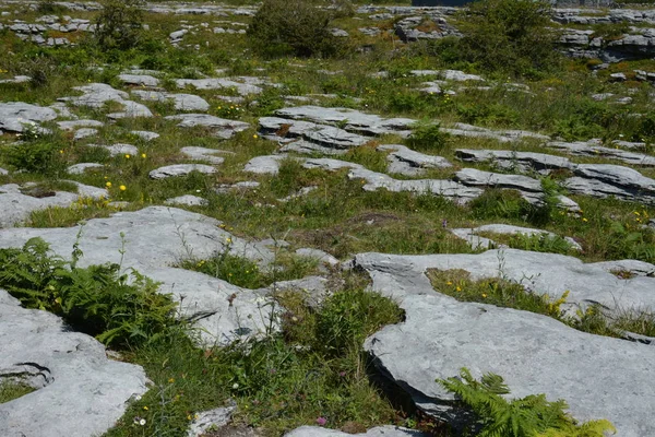 Klippformation i nationalparken, Irland — Stockfoto