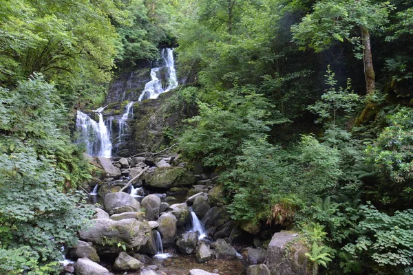 小山瀑布的岩石上长满青苔在森林里 — 图库照片