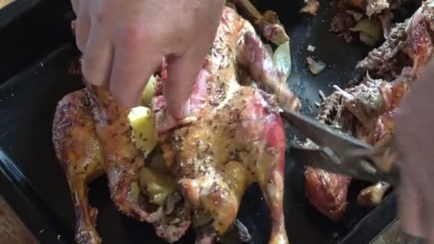 Chef Bereitet Entenbraten Portionen — Stockvideo