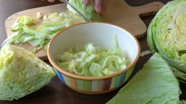Buzdağı taze salata yaprakları. Yaprakların geometrik desenleri kesilmiş ve dilimlenmiş marul (laactuca sativa) salatasının kalbinde.