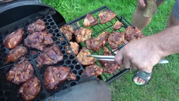 Carne Frango Grelhada Saborosa Picante Com Especiarias Grelha — Vídeo de Stock