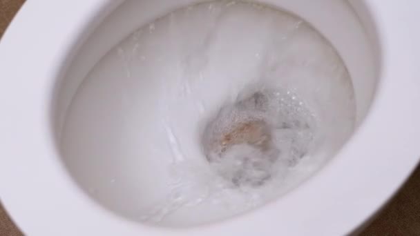 WC lavado de cima para baixo View. Água e papel que nivelam para baixo na bacia do toalete — Vídeo de Stock