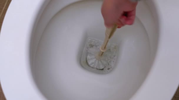 Huisvrouw wast wit toilet met een borstel in de badkamer. Maakt algemene reiniging — Stockvideo