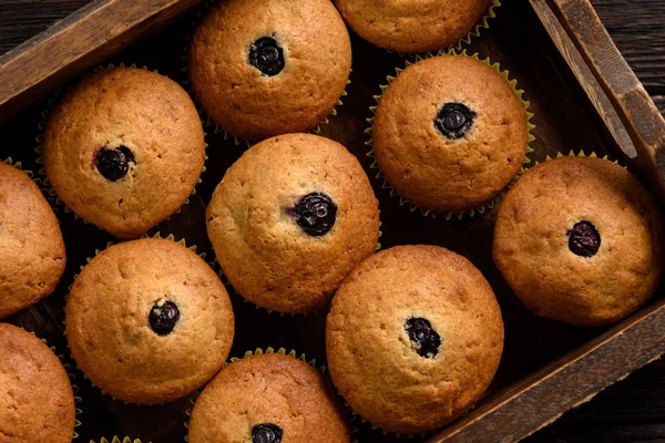 Hemmagjord Bovete Muffins Med Blåbär — Stockfoto
