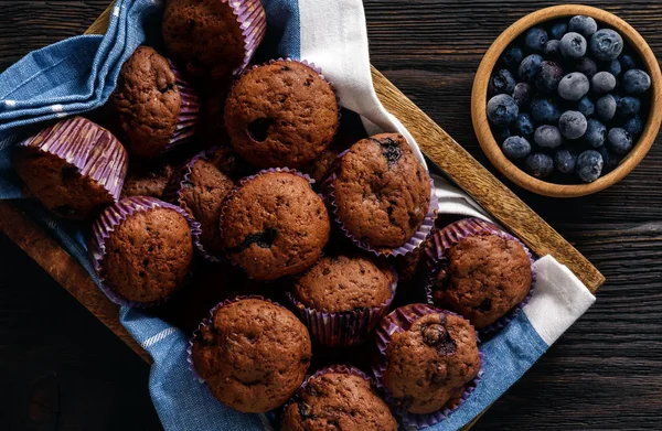 Muffins Chocolate Caseiros Com Mirtilos — Fotografia de Stock