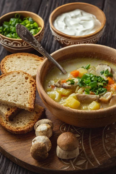 Homemade wild mushroom soup on wooden tray. — Stock Image Homemade Wild Mushroom Soup Wooden Tray Stock Image
