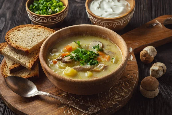 Homemade wild mushroom soup on wooden tray. — Stock Image Homemade Wild Mushroom Soup Wooden Tray Stock Picture