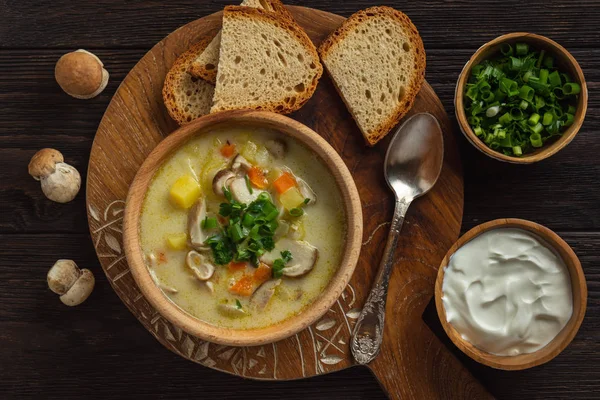 Homemade wild mushroom soup on wooden tray. — Stock Image Homemade Wild Mushroom Soup Wooden Tray Royalty Free Stock Images