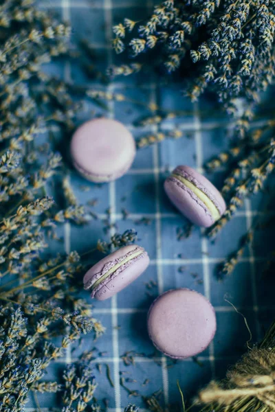 Top View Lavender Macarons Lavender Flowers Blue Background — Stock Photo, Image