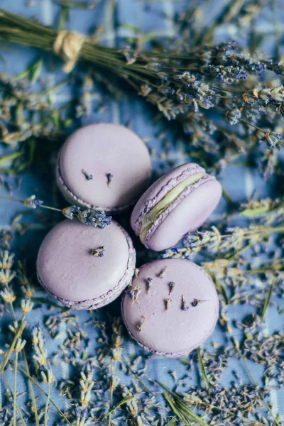 Top View Lavender Macarons Lavender Flowers Blue Background — Stock Photo, Image