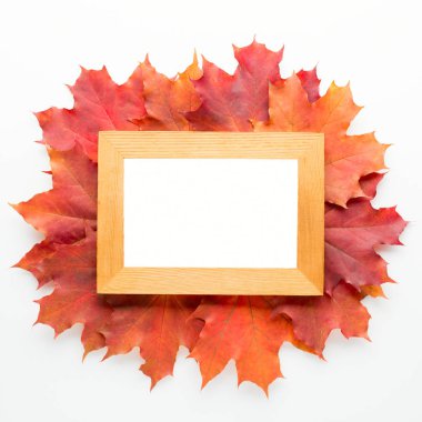 Boş çerçeve ve beyaz arka plan üzerinde izole kırmızı sonbahar yaprakları yukarıda 