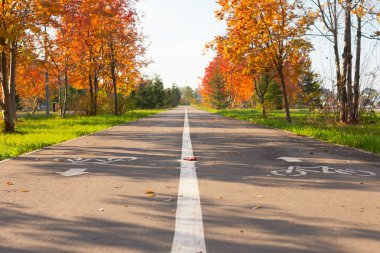Perspektif görünümü portakal ağaçları ile sonbahar Park'taki bisiklet yolu 