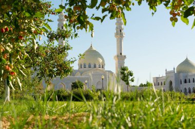 Harika güneşli güzel beyaz Camii karşı yeşil çim ve ağaç dalları