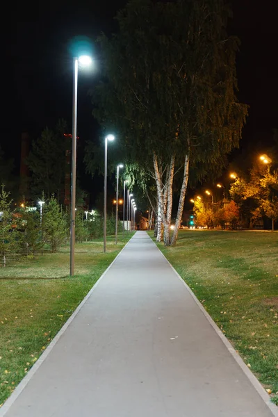 Glowing street lamps and lovely trees standing on sides of asphalt path at night in park
