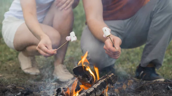 Guy and the girl are frying marshmallows on a campfire. Friends hold sticks with marshmallows over a bonfire.