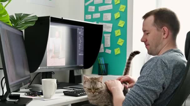 Ein junger Mann arbeitet zu Hause am Computer. Streicheln einer Katze schottischer Rasse. — Stockvideo