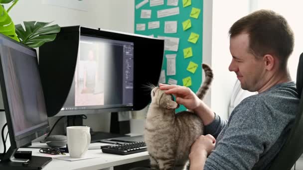 Genç bir adam evdeki bir bilgisayarda çalışıyor. İskoç soyundan bir kediyi okşamak. — Stok video