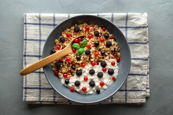 Schüssel mit Haferflocken, Joghurt und schwarzen Himbeeren, schwarzen und roten Johannisbeeren auf grauem Betongrund. — Stockfoto