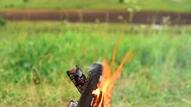 Brennendes Lagerfeuer in der Natur beim Zelten. — Stockvideo