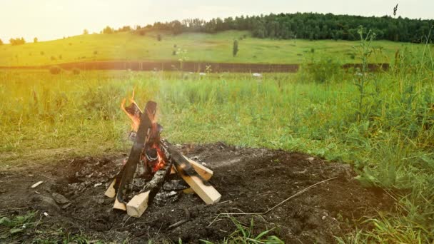 Brennendes Lagerfeuer in der Natur beim Zelten. — Stockvideo