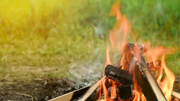 Brennendes Lagerfeuer in der Natur beim Zelten. — Stockvideo