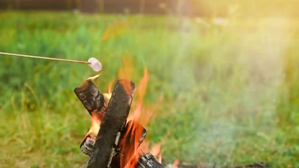 Ψήσιμο ζαχαρωτών σε φωτιά κατασκήνωσης κατά τη διάρκεια κατασκήνωσης στη φύση. — Αρχείο Βίντεο