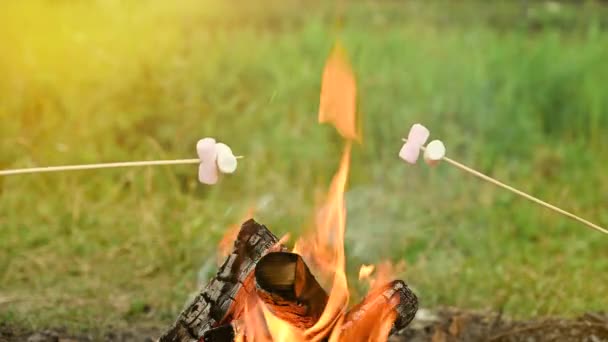 자연 속에서 야영을 하는 동안 모닥불 위에서 마시멜로를 굽는 모습. — 비디오