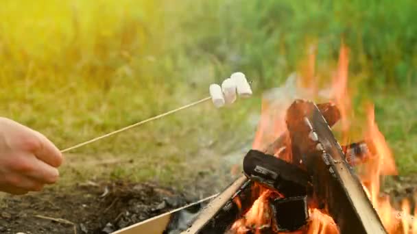 Ψήσιμο ζαχαρωτών σε φωτιά κατασκήνωσης κατά τη διάρκεια κατασκήνωσης στη φύση. — Αρχείο Βίντεο