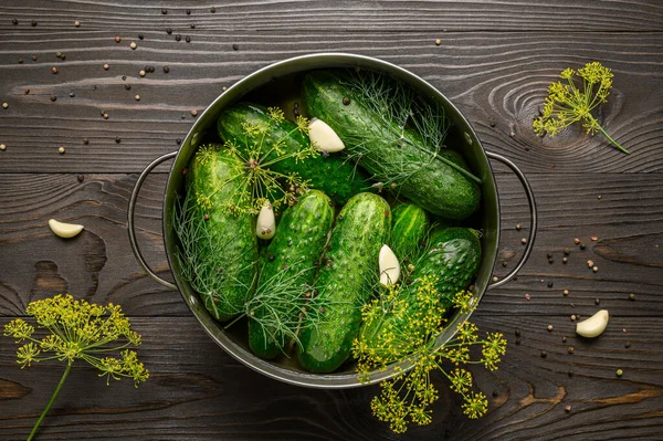 Healthy fermented food. Green cucumbers with garlic, dill and pepper in a pan on a dark wooden board.