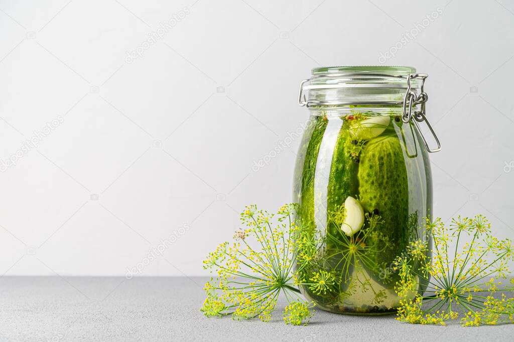 Healthy probiotic vegan food. Homemade fermented cucumbers with garlic, dill and pepper in a glass jar.