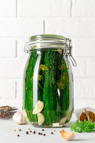 Gesunde probiotische vegane Kost. Hausgemachte fermentierte Gurken mit Knoblauch, Dill und Pfeffer im Glas. — Stockfoto