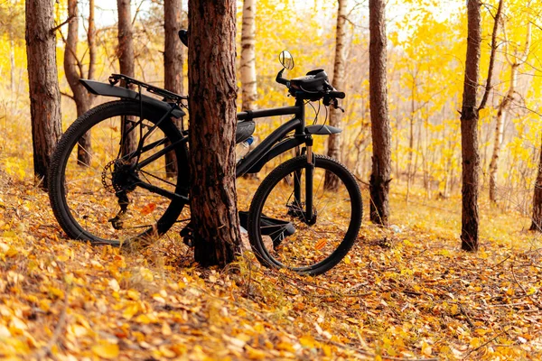 Černá horská kola v podzimním lese. — Stock fotografie