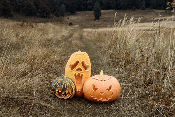 Símbolo de Halloween. Tres calabazas talladas jack-o-lantern en la hierba en el campo. — Foto de Stock