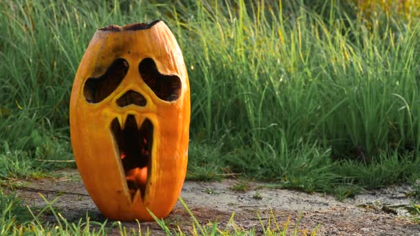 Motyw horroru Halloween. Dynia Halloween płonie na ziemi. — Wideo stockowe