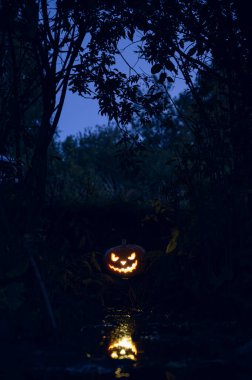 Geceleri ormanda parlayan Cadılar Bayramı balkabağı.