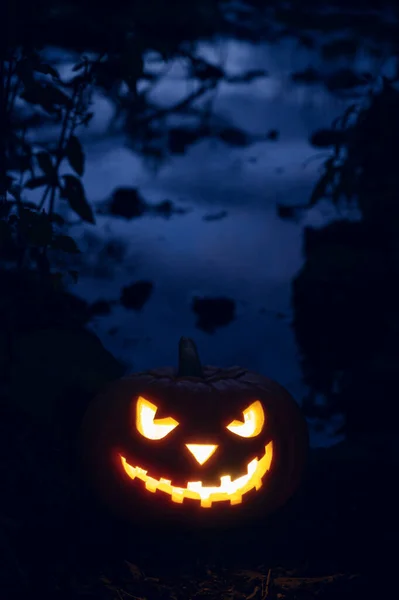 Świecąca dynia Halloween w lesie w nocy. — Zdjęcie stockowe